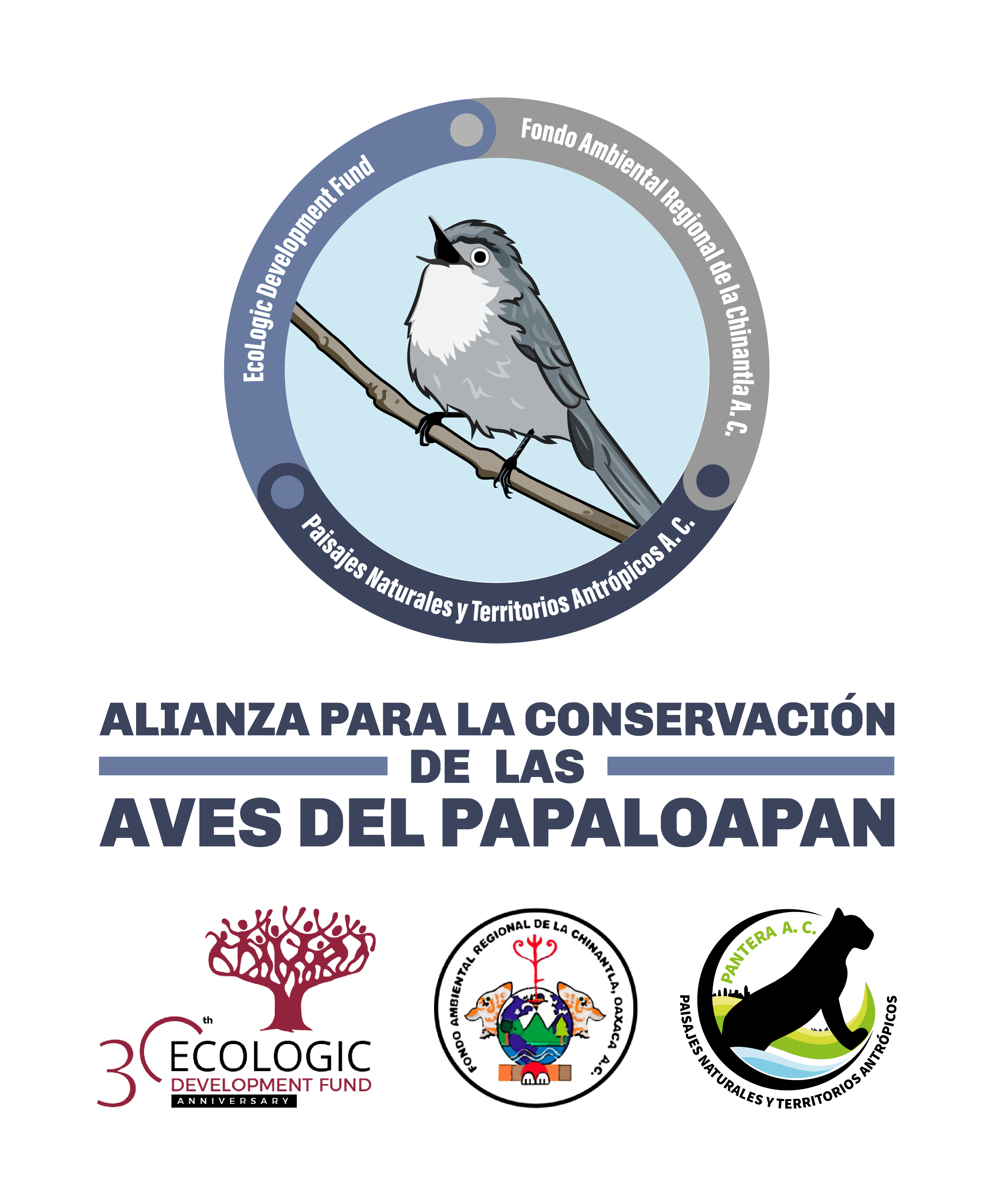 Alianza para la Conservación de las aves del Papaloapan