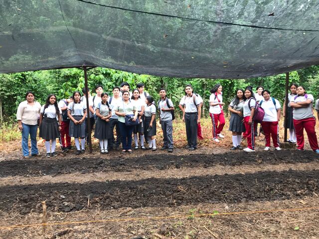 This image for Image Layouts addon